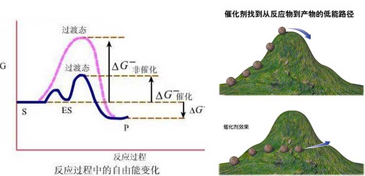 催化燃燒廢氣處理設(shè)備設(shè)計注意事項(xiàng)有那些？